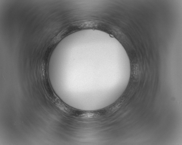 X0000059230326200511111555