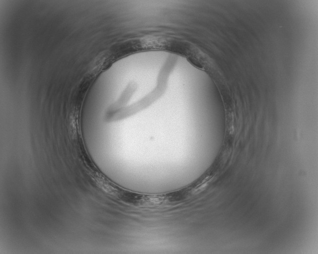 X0000059230329200511111555