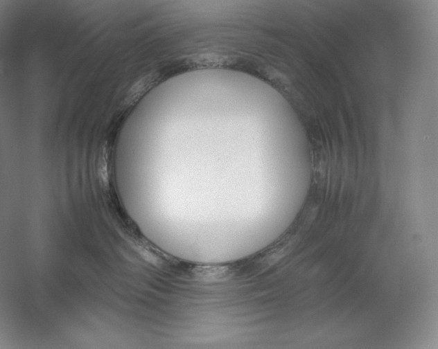 X0000059230334200511111555