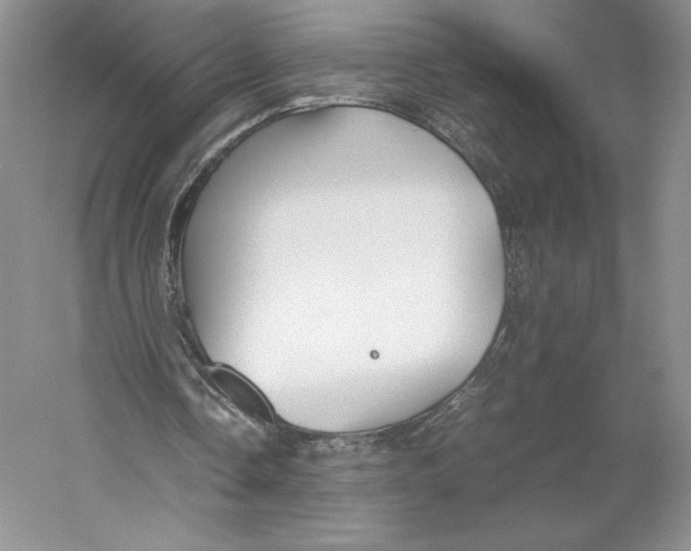 X0000059230338200511111554