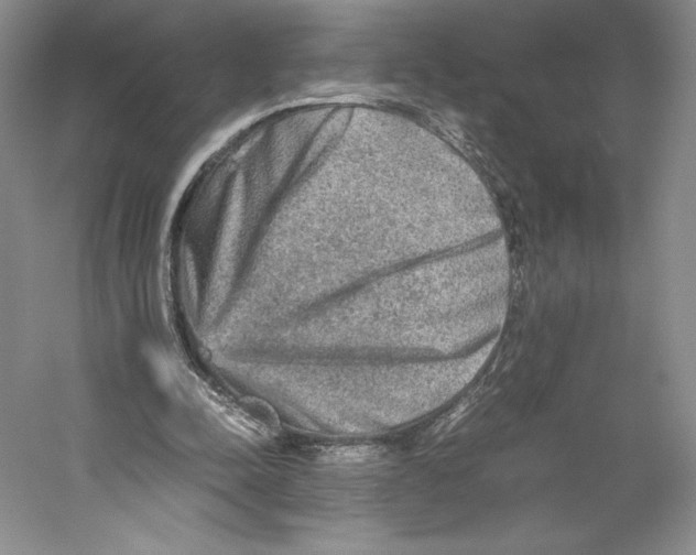 X0000059230342200511111554