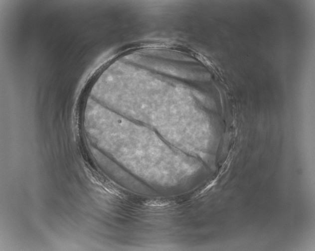 X0000059230343200511111554