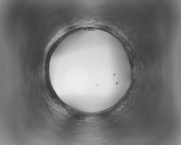 X0000059230344200511111554