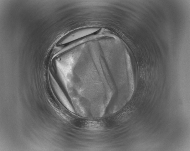 X0000059230347200511111554