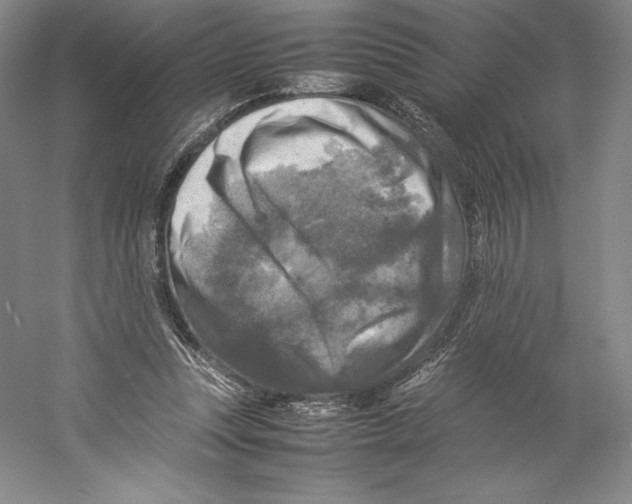 X0000059230351200511111554