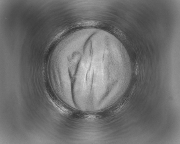 X0000059230352200511111554