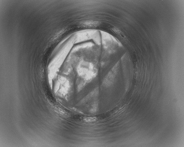 X0000059230355200511111554