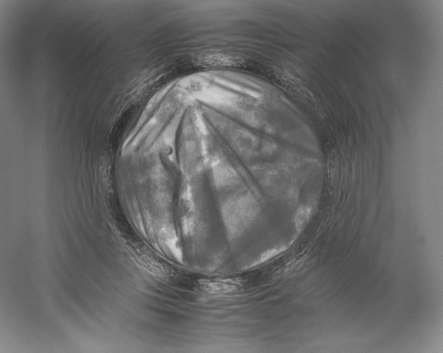 X0000059230359200511111554