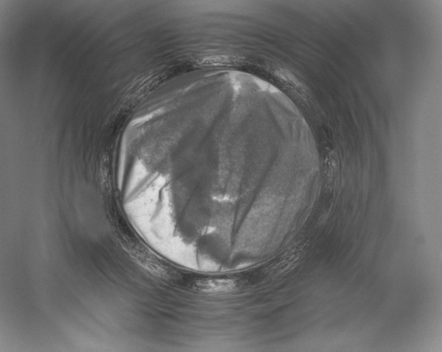 X0000059230361200511111554