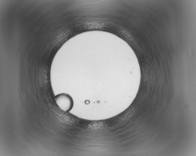 X0000059230362200511111554