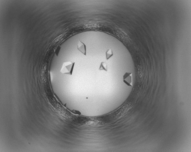 X0000059230364200511111554