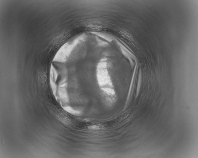 X0000059230365200511111555