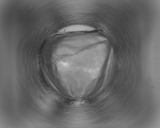 X0000059230366200511111555