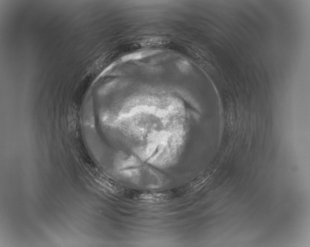 X0000059230367200511111555