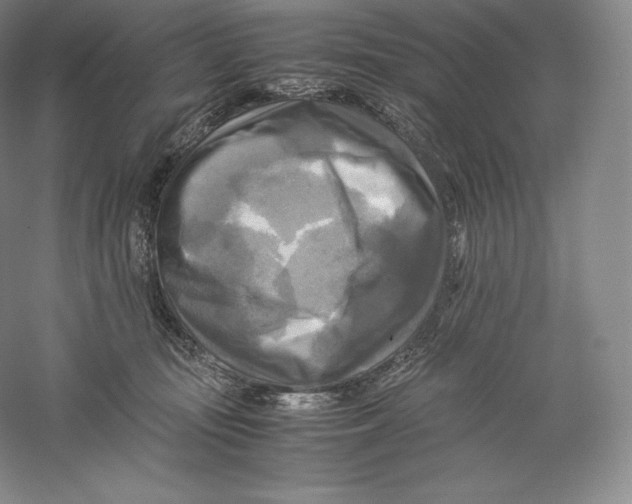 X0000059230371200511111555