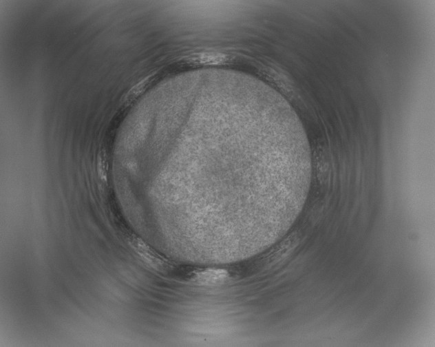 X0000059230374200511111555