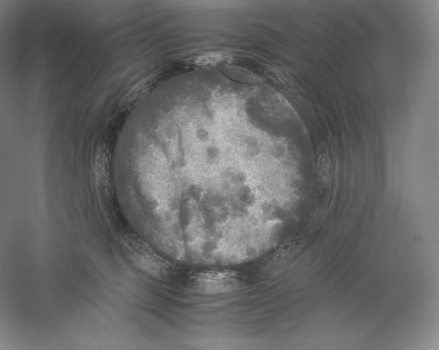 X0000059230375200511111555