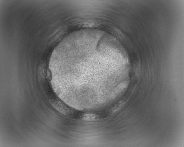 X0000059230376200511111555