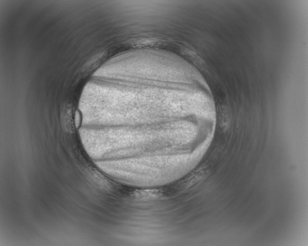 X0000059230378200511111555