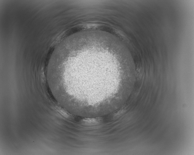 X0000059230381200511111555