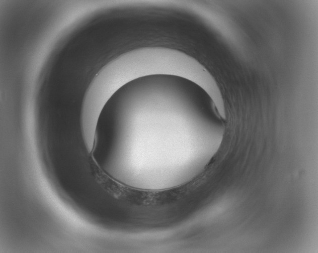 X0000059230383200511111555