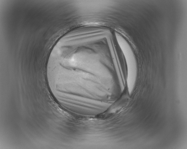 X0000059230385200511111554