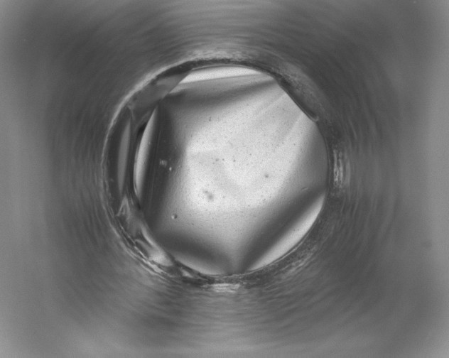 X0000059230388200511111554