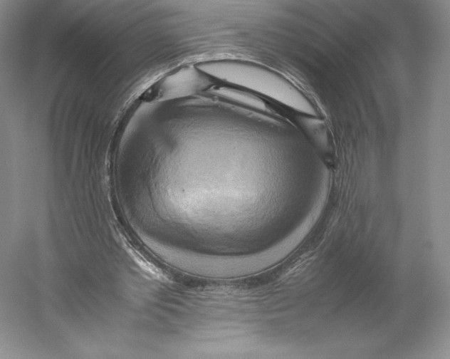 X0000059230389200511111554