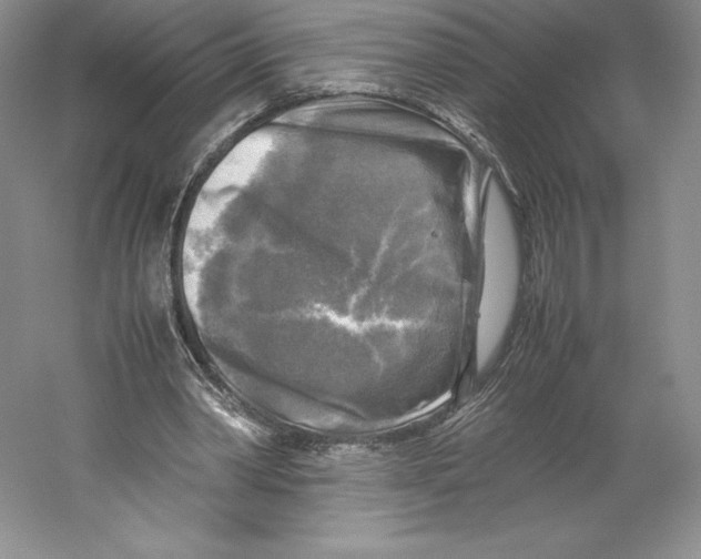 X0000059230390200511111554