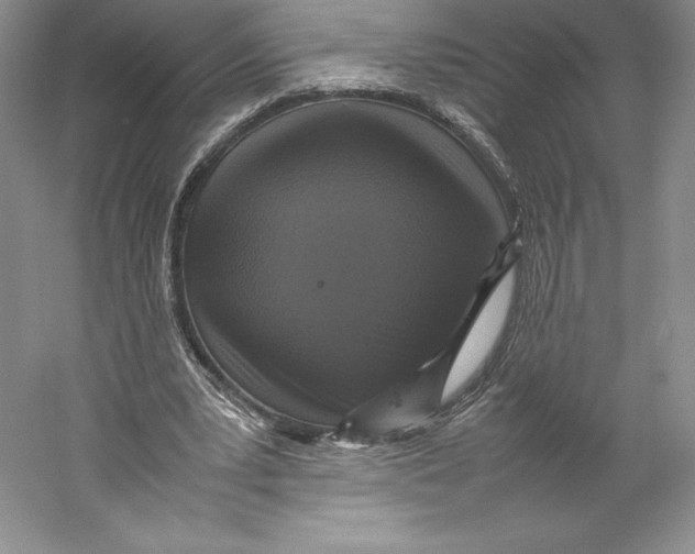 X0000059230391200511111554