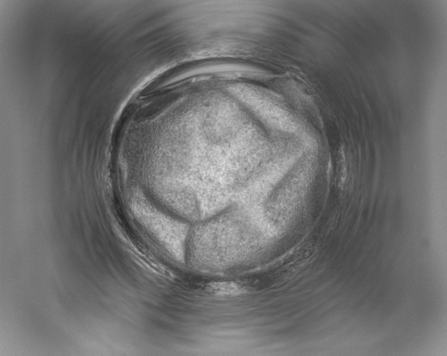 X0000059230392200511111554