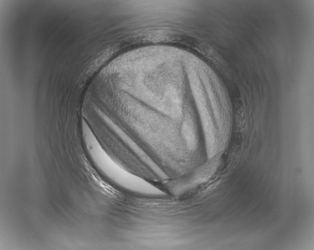 X0000059230393200511111554