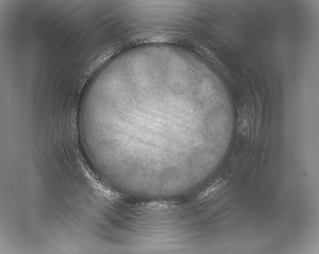 X0000059230394200511111554