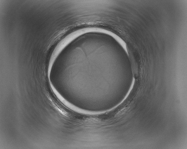 X0000059230397200511111554