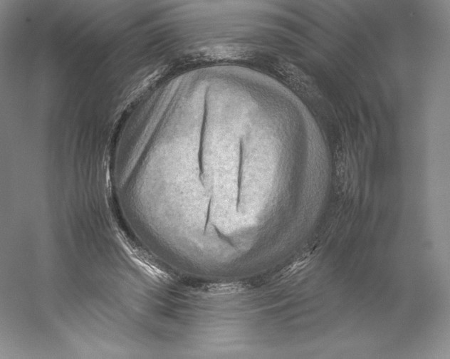 X0000059230398200511111554