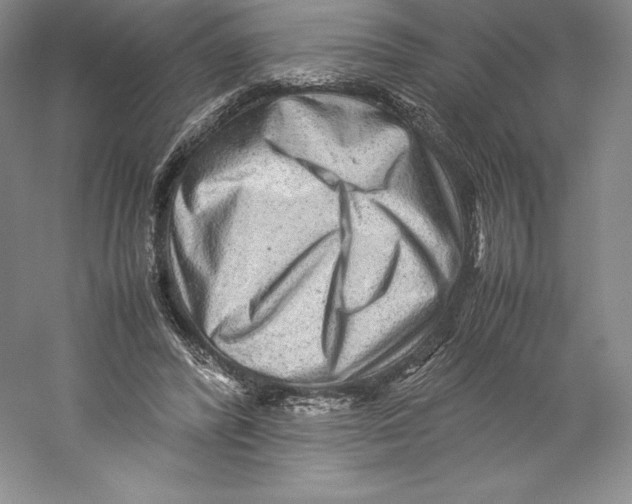 X0000059230400200511111554