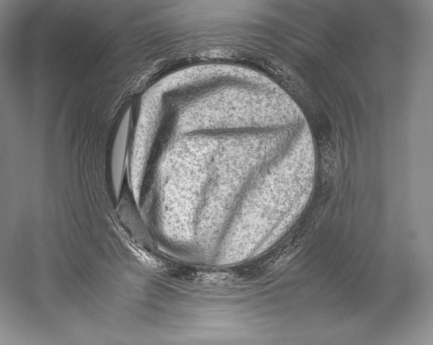 X0000059230401200511111554