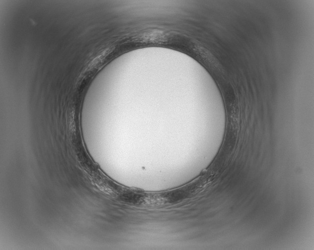 X0000059230403200511111554