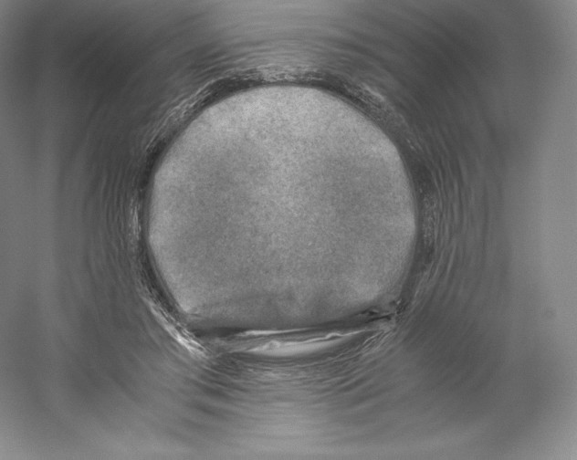 X0000059230405200511111554