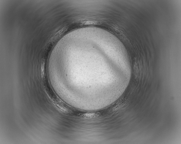 X0000059230406200511111554