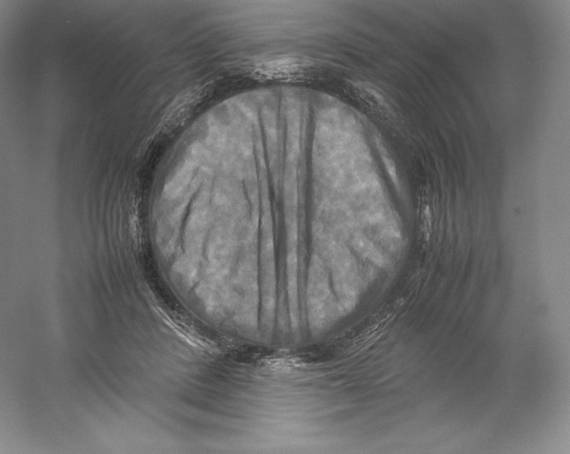 X0000059230408200511111553