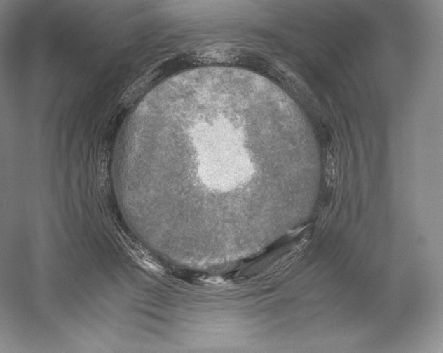 X0000059230409200511111553