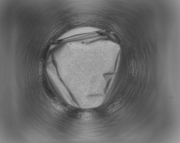 X0000059230412200511111553