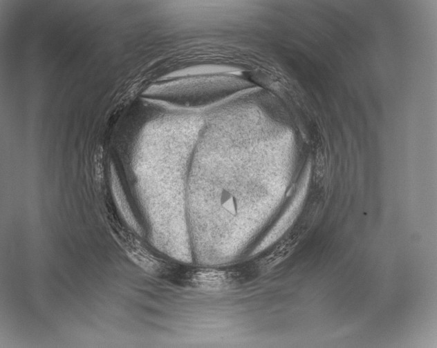 X0000059230413200511111553