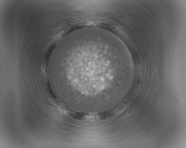 X0000059230415200511111553