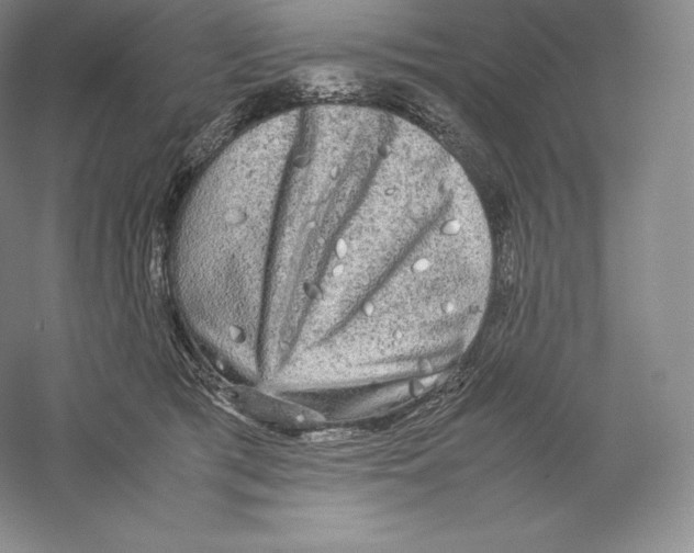 X0000059230417200511111553