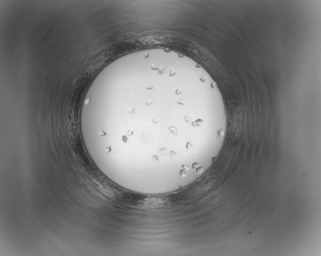 X0000059230418200511111553