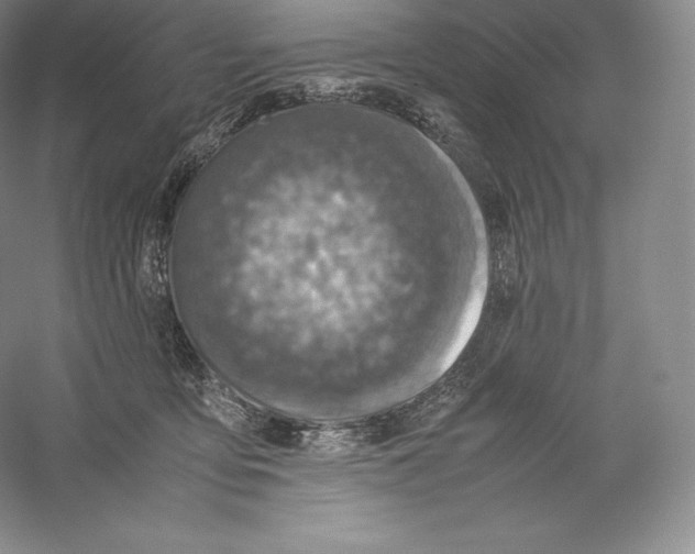 X0000059230419200511111553