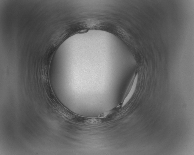 X0000059230421200511111553