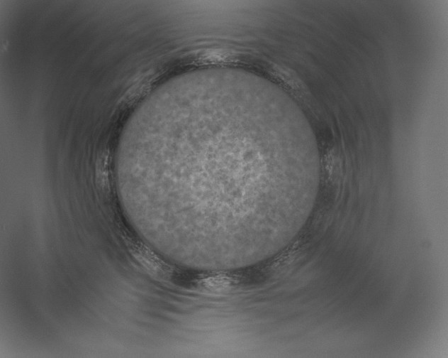 X0000059230423200511111553